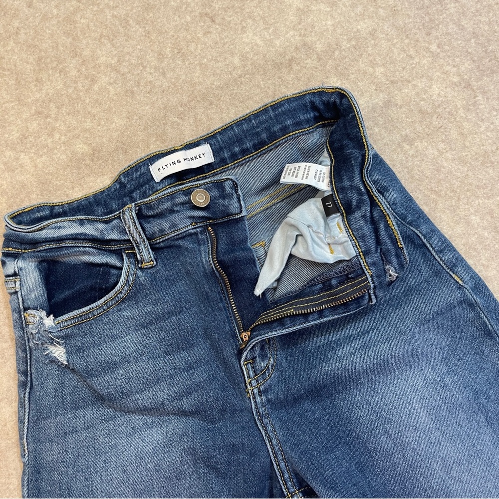 Flying Monkey - Picture 7 of 13